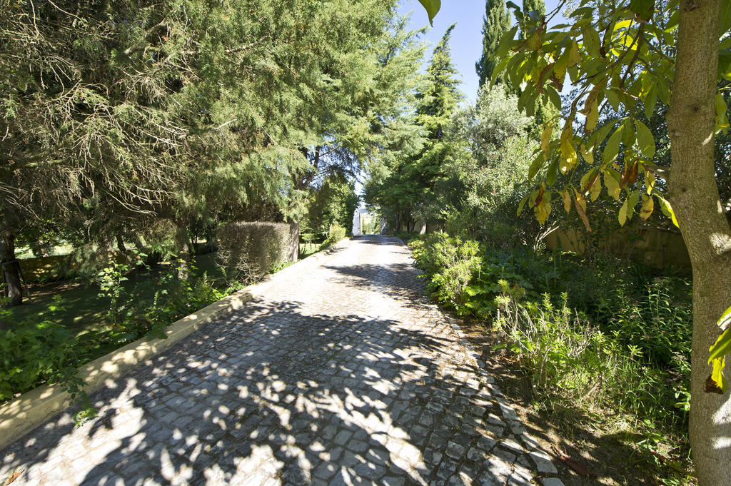 Quinta Da Cabrita Villa Santarém Exterior foto