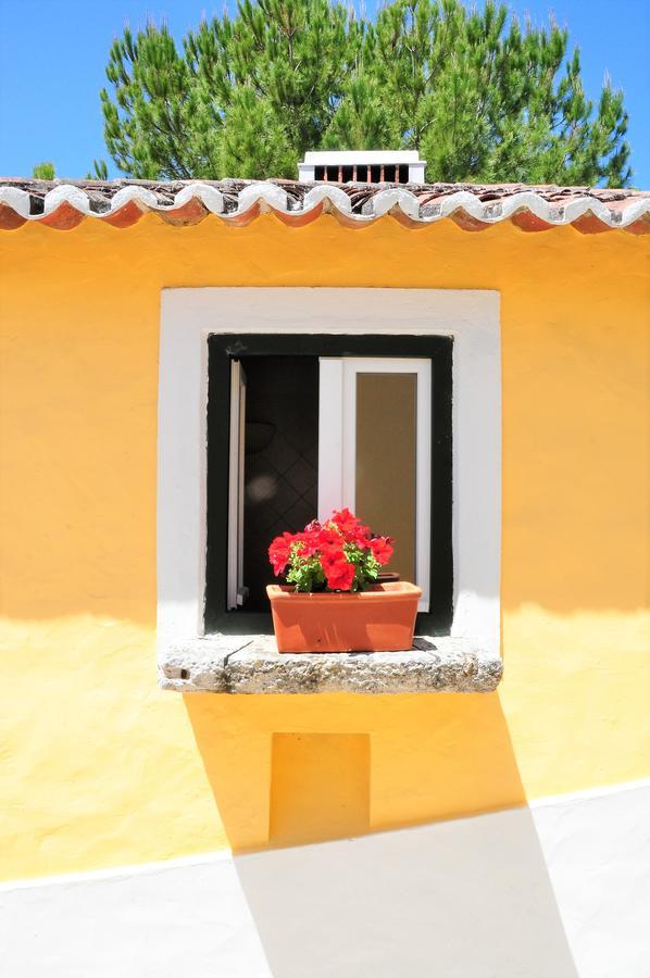 Quinta Da Cabrita Villa Santarém Exterior foto